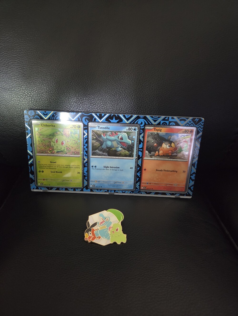 Pokémon Blue Display with Chikorita, Totodile & Tepig Promo Trading Cards + Pin